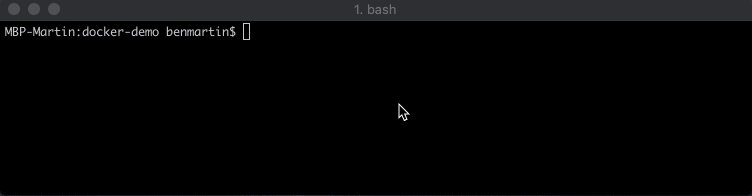 Running a Docker container of a Custom Image Running the Docker Image we Built